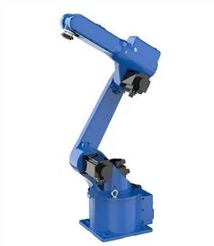 RJM612 Robotų poliravimas